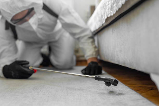 Professional Termite Control technician working in Kemp, TX