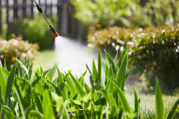 24/7 Emergency Termite Control experts in Kemp, TX
